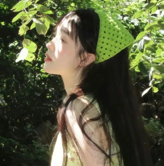 风月君子